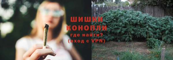 дурь Новозыбков