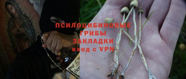 не бодяженный Новодвинск