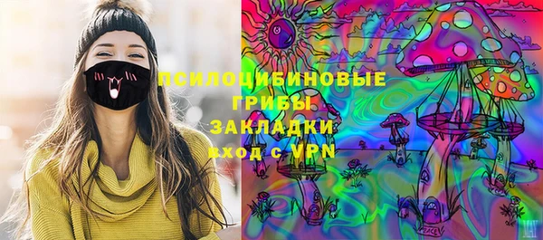 дурь Новозыбков