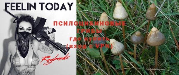 не бодяженный Нязепетровск