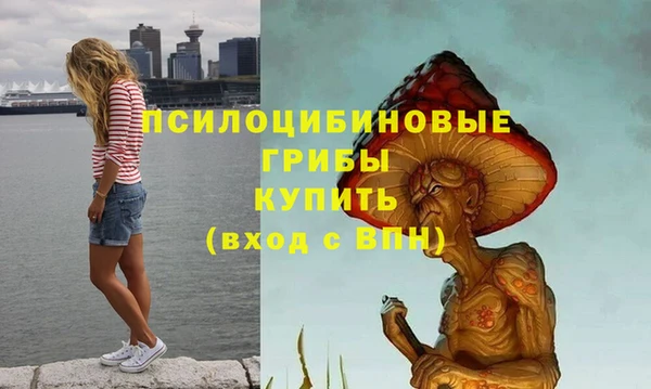 дживик Няндома