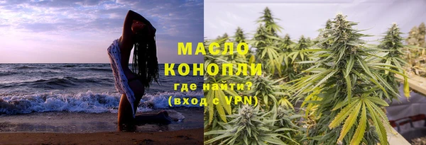 дживик Няндома