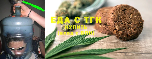 дживик Няндома