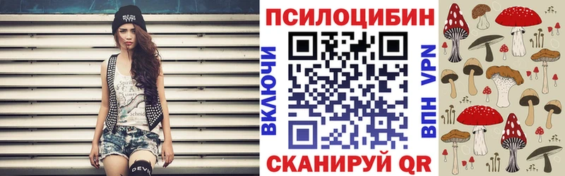 Псилоцибиновые грибы Psilocybine cubensis  Ивантеевка 