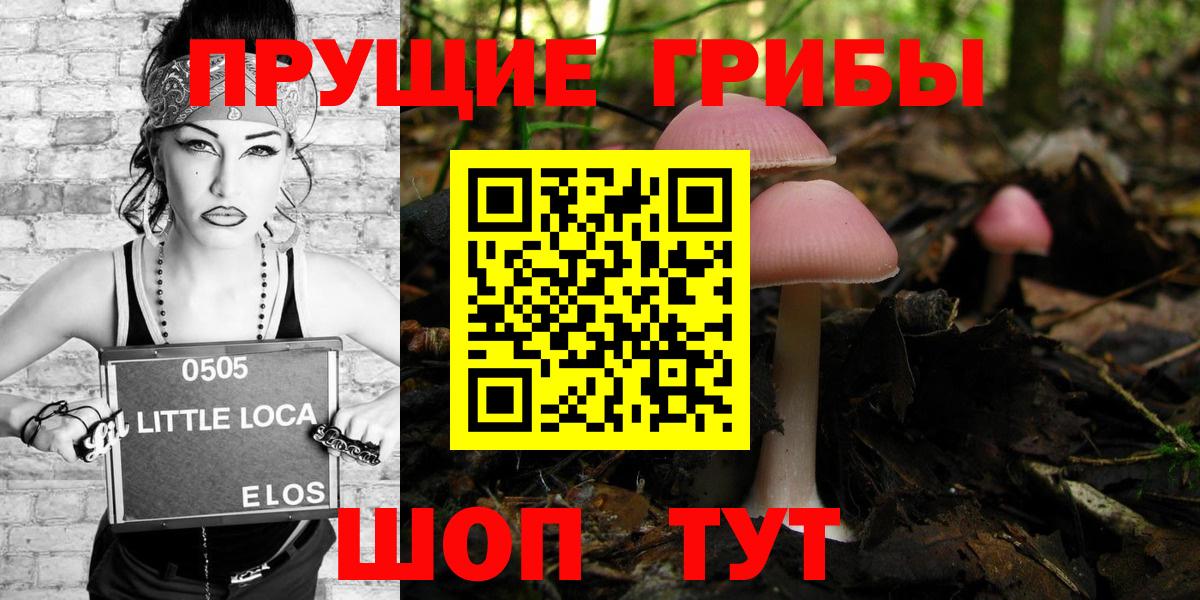 Галлюциногенные грибы GOLDEN TEACHER  Ивантеевка  Псилоцибиновые грибы Psilocybe 