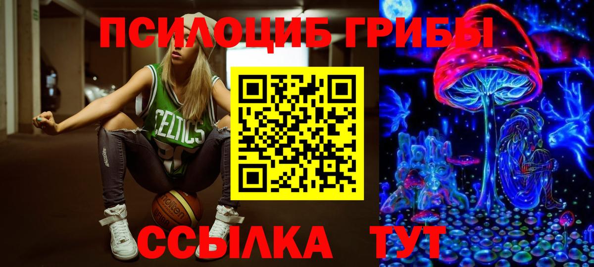 Псилоцибиновые грибы Psilocybine cubensis Ивантеевка